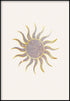Sol reluciente Oro real Póster